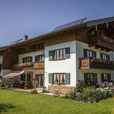 Ferienwohnungen Haus Martin 因泽尔 外观 照片